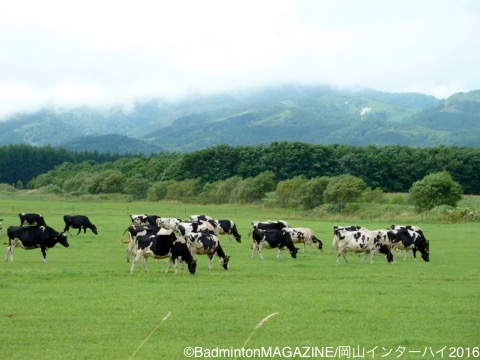 新潟青陵